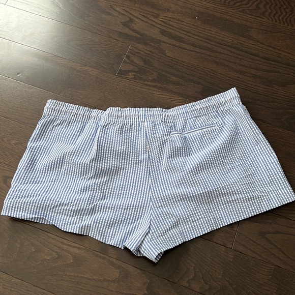 Ladies pinstripe JCrew shorts size large. - Picture 5 of 6